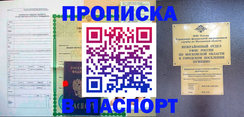 временная регистрация госуслуги в Сольцах