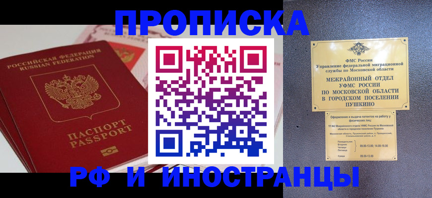 форма 3 в Сольцах